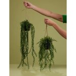 Emerald buis artificiel suspendu en pot 50 cm