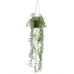 Emerald buisson suspendu senecio artificiel en pot 70 cm Emerald buisson suspendu senecio artificiel en pot 70 cm