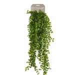 Emerald ficus pumila artificiel 80 cm