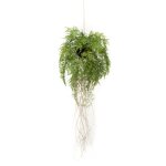 Emerald fougère artificielle suspendue avec racines 35 cm Emerald fougère artificielle suspendue avec racines 35 cm