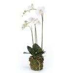 Emerald orchide phalaenopsis artificielle 70 cm blanc