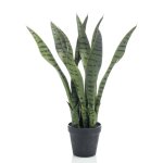 Emerald plante artificielle sansevieria 55 cm en pot
