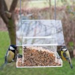 Esschert design mangeoire combi suspendue acrylique Esschert design mangeoire combi suspendue acrylique