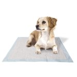 Ferplast tapis d?hygine chiens 50 pcs genico basic 60x60 cm 85340811