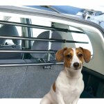 Flamingo protection pour chiens 5 poteaux walky barrier métal 5283060 Flamingo protection pour chiens 5 poteaux walky barrier métal 5283060