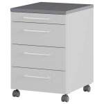 Germania armoire sur roulettes gw - profi 2. 0 42x49x61 cm gris clair