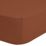 Good morning drap - housse 80x200 cm terre cuite