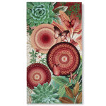 Hip serviette de plage jimena 100x180 cm multicolore