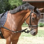 Kerbl rnes latrales 2 pcs noir poney 323599