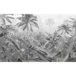 Komar papier peint photo amazonia noir et blanc 400x250 cm Komar papier peint photo amazonia noir et blanc 400x250 cm