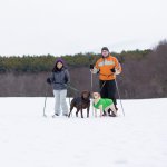 Kurgo laisse rflchissante 6 en 1 pour chien quantum noir et orange