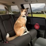 Kurgo protections de porti�re 2 pcs