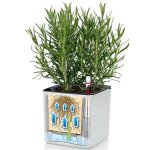 Lechuza 3 pcs jardinières green wall home kit blanc Lechuza 3 pcs jardinières green wall home kit blanc