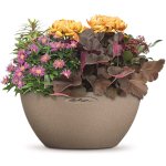 Lechuza jardinire cubeto color 30 all - in - one beige sable 13831