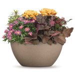 Lechuza jardinire cubeto color 40 all - in - one beige sable 13841