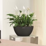 Lechuza jardinire cubeto color 40 all - in - one noir graphite 13842