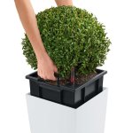Lechuza jardinire cubico color 40 all - in - one blanc 13150