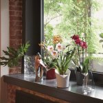 Lechuza jardinière orchidea all - in - one ardoise mate Lechuza jardinière orchidea all - in - one ardoise mate