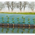 Nature bche de sol de contrle des mauvaises herbes 1x10 m vert