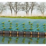 Nature bâche de sol de contrôle des mauvaises herbes 2x5 m vert Nature bâche de sol de contrôle des mauvaises herbes 2x5 m vert