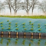 Nature bche de sol de contrle des mauvaises herbes 5, 2x5 m vert