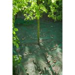 Nature filet collecteur de fruits et de feuilles 4, 3 x 4, 3 m 6030451