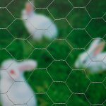Nature grillage mtallique hexagonal 0, 5 x 5 m 25 mm acier galvanis