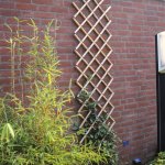 Nature palissade de jardin 100 x 200 cm bambou