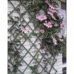 Nature palissade de jardin 100 x 200 cm pvc vert