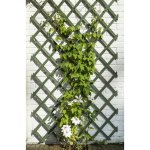 Nature palissades de jardin 2 pcs bois vert 50 x 150 cm