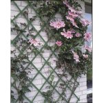 Nature treillis de jardin 2 pcs 100 x 200 cm pvc vert Nature treillis de jardin 2 pcs 100 x 200 cm pvc vert