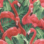 Noordwand papier peint flamingo and monstera rouge