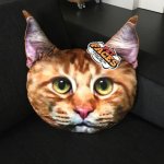 Pet faces oreiller visage d'animal de compagnie chat maine coon
