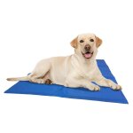 @pet tapis rafra�chissant pour chiens bleu s 40x50 cm