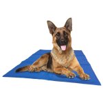 @pet tapis rafra�chissant pour chiens bleu m 50 x 65 cm