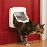 Petsafe cl magntique de collier 480 noir 5007