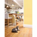 Petsafe dissuasion par pulv�risation pour animaux ssscat 1 m 6059a