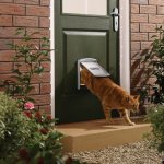Petsafe porte à 2 voies pour chiens 737 petit 17, 8 x 15, 2 cm argenté Petsafe porte à 2 voies pour chiens 737 petit 17, 8 x 15, 2 cm argenté