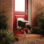 Petsafe porte  2 voies pour chiens 740 medium 26, 7 x 22, 8 cm blanc