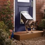 Petsafe porte  2 voies pour chiens 757 medium 26, 7 x 22, 8 cm argent