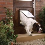Petsafe porte à 2 voies pour chiens 775 large 35, 6 x 30, 5 cm marron 5024 Petsafe porte à 2 voies pour chiens 775 large 35, 6 x 30, 5 cm marron 5024