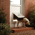 Petsafe porte pr chiens  2 voies 760 large 35, 6x30, 5 cm blanc