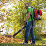 Scheppach souffleur  feuilles lb5200bp 1, 9 ch