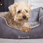 Scruffs lit  bote pour chien cosy gris s