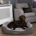 Scruffs lit  bote pour chien cosy gris xl