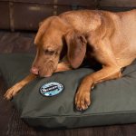Scruffs & tramps coussin mémoire de forme pour chien expedition olive Scruffs & tramps coussin mémoire de forme pour chien expedition olive