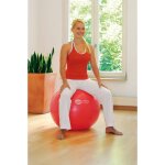 Sissel ballon d'exercice 65 cm rouge sis - 160. 062