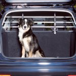 Trixie grille pare - chien pour voiture argenté et noir Trixie grille pare - chien pour voiture argenté et noir