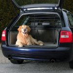 Trixie grille pare - chien pour voiture noir Trixie grille pare - chien pour voiture noir