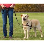 Trixie harnais lead'n'walk soft taille l - xl 65 - 105 cm noir